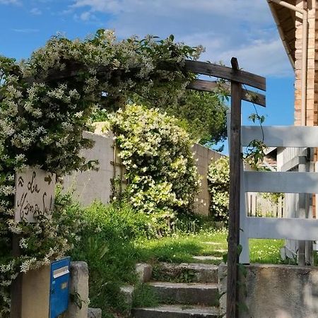 La Maison Du Saule Pompignac エクステリア 写真